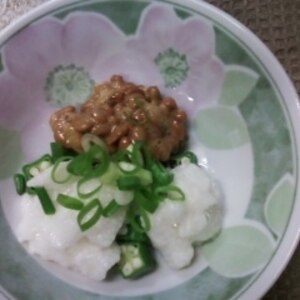 夏にオススメ～ねばねば丼